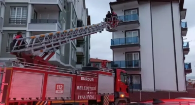 Dairede baygın bulundu