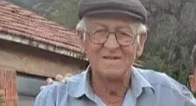 Dananın saldırısına uğradı