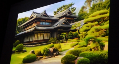 Fotoğraflarla Japon bahçeleri