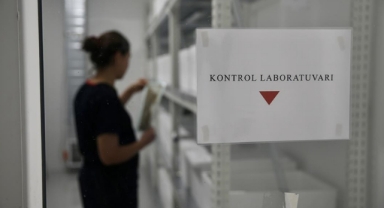 Laboratuvarda üretilen 'avcı böcekler' ihraç ediliyor