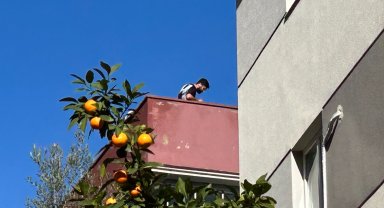 Taş fırlattı, polise direndi