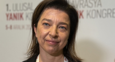 Yanık tedavilerinde bölgesinde referans ülke