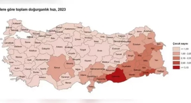 10 il, nüfusunu yenileme yeterliliğine sahip