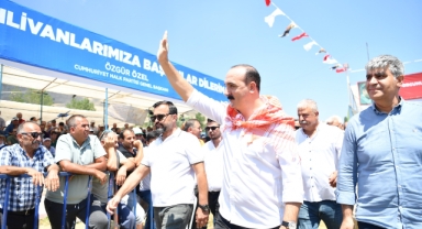 8 ayda 8 proje
