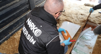 Eroini talaşların altına saklamışlar
