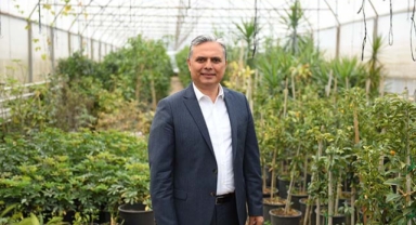 Kardeş kente turunç ve kamkat fidanı