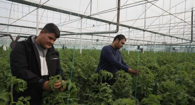 Suriyeli işçiler dönüyor, üretici düşünüyor