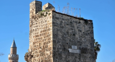 Surlar yeşerdi