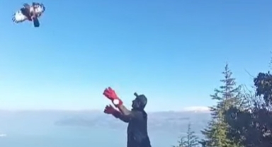 Tedavisinin ardından doğaya salındı
