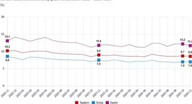 TÜİK: İşsizlik oranı kasımda yüzde 8,6'ya geriledi