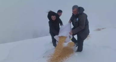 Yaban hayvanlarını unutmadılar