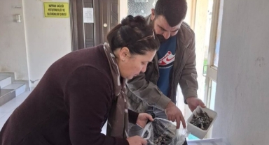 Balon balığıyla mücadele