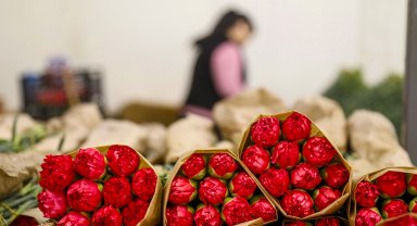 Çiçek ihracatında Sevgililer Günü bereketi