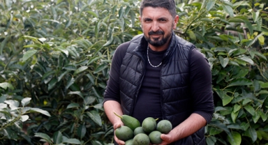 Deneme için dikildi gelir kapısı oldu