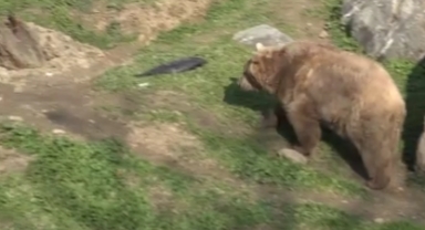 Güneşi görüp uykuyu unuttular