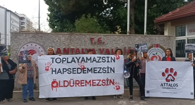 Hayvanseverler 261 gündür sokakta 