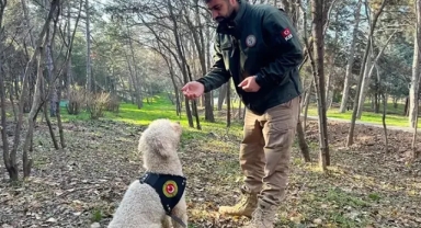 Narkotik köpekler 4 ton 192 kilogram uyuşturucu ele geçirdi