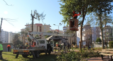 Park yenilemesi