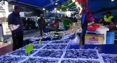 Tezgahlarda hamsi ve palamut azalıyor