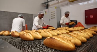Vatandaşın Halk Ekmek memnuniyeti