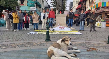 'Yasalar katliam için değildir!'