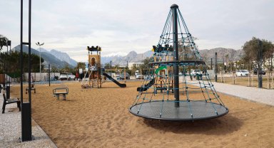 Park zeminine zeytin çekirdeği