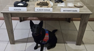 61 şahıs hakkında yasal işlem