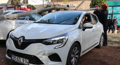 Ağaç 2 otomobilin üzerine düştü