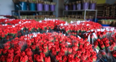 Antalya'dan Avrupa'ya 8 Mart çiçeği