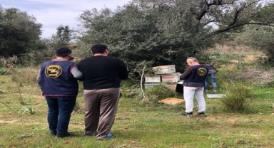 Arı kovanı hırsızları yakalandı