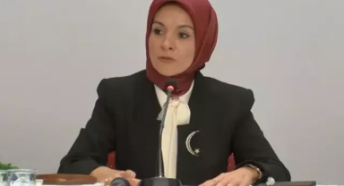Bakan Göktaş: Doğum yardımı kanunu yasalaştı