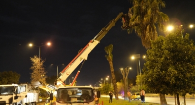 Büyükşehir'den gece budama çalışması