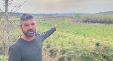 Çobana silahlı saldırı
