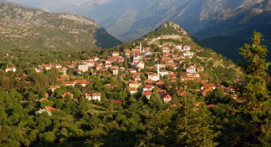 Ormana'da 'plan' krizi