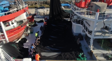 Hamside erken paydos