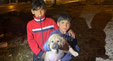 Kuyuya düşen köpek kurtarıldı