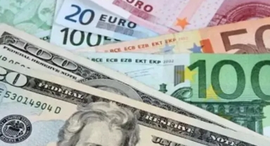 Merkez Bankası'ndan döviz satışı açıklaması