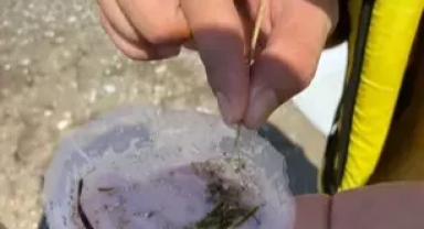 'Mikroplastik' alarmı