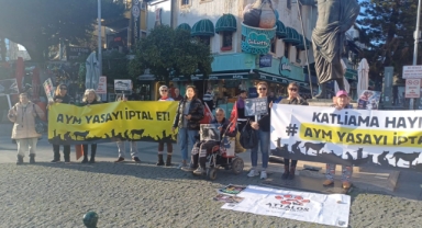 Şiddet ve istismar toplumsal hastalık
