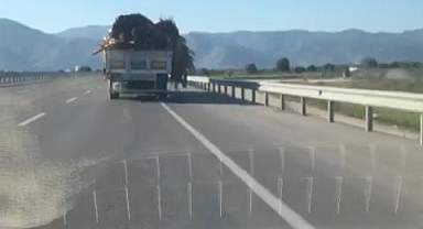 Tahta ve tomruklar yola saçıldı!