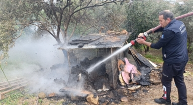 Tavuk kümesi yandı