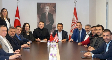 Tesis hamlesi