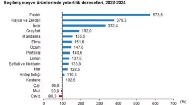 TÜİK: Yeterlilik derecesi en yüksek ürün fındık oldu