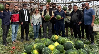 37 bin ton karpuz beklentisi
