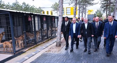 51 ilde doğal yaşam alanları