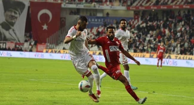 Akrep, Sivas’ta kritik virajda