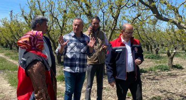 Antalya'da zirai don hasar tespiti
