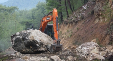 Dev kaya yola düştü