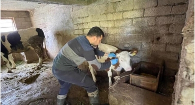 Gazipaşa’da gıda sağlığı denetimi