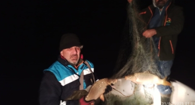 Gizli sazan avına gece baskını